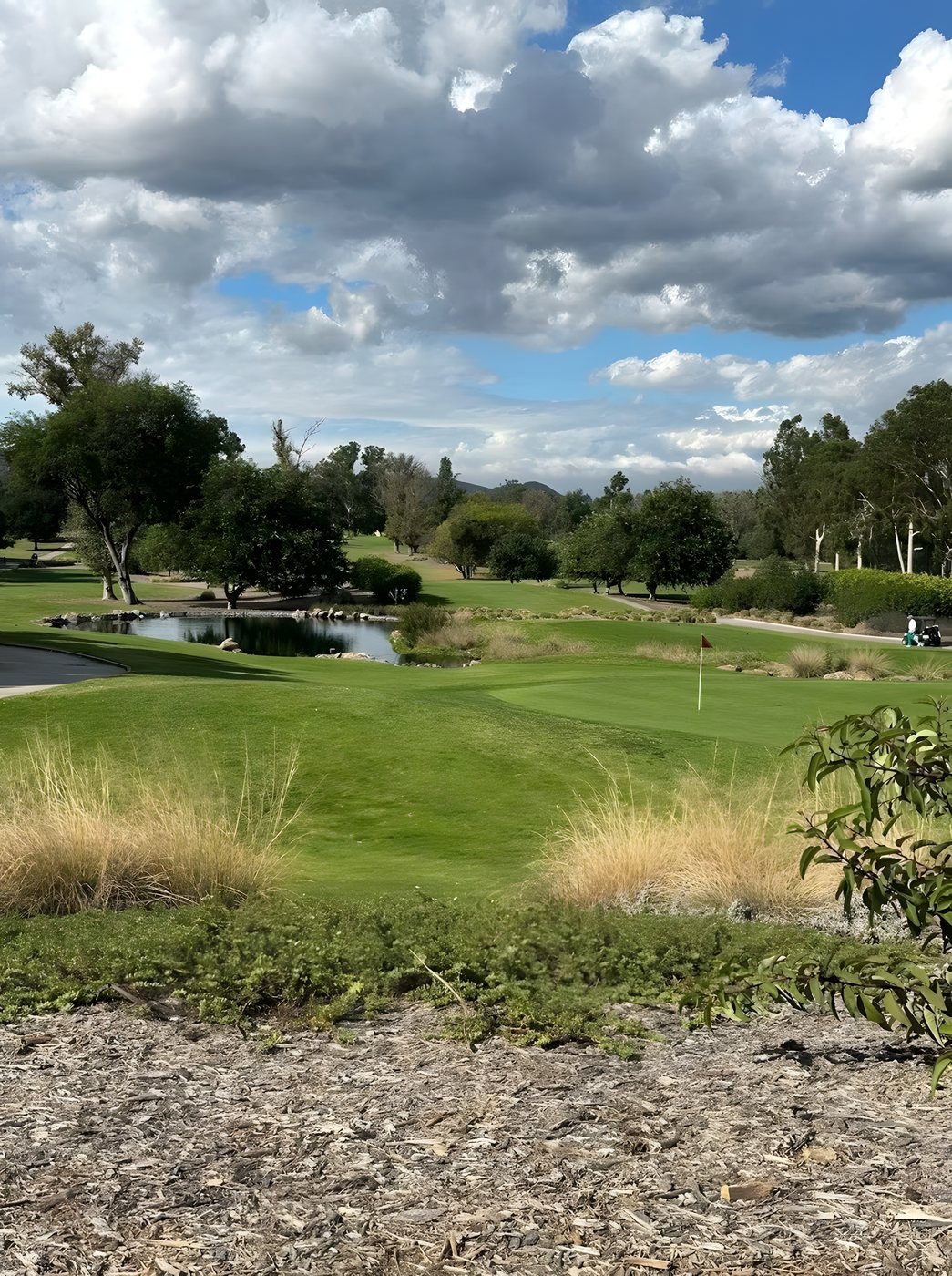 A wide view across the course under an open sky